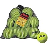 Penn Pressureless Tennis Balls,12 Ball Mesh Bag