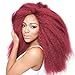 ISIS Synthetic 100% Kanekalon Braid A Fri-Naptural Definition Blow Out 60
