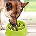Dog Bowls Slow Feeder Fun Interactive Anti-Choke Pet Bowl Non-Slip Drink Water Bowl Healthy Food Bowl Bloat Stop Happy Foraging Bowl (Green)