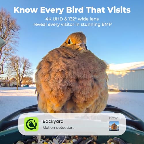 Kiwibit Solar Smart Bird Feeder with Camera, AI Bird Species Identification, 8MP Photos, 4K UHD Video Live Stream Wild Bird House Feeders for Outdoors, Birdwatching Gifts for Bird Lovers, Green