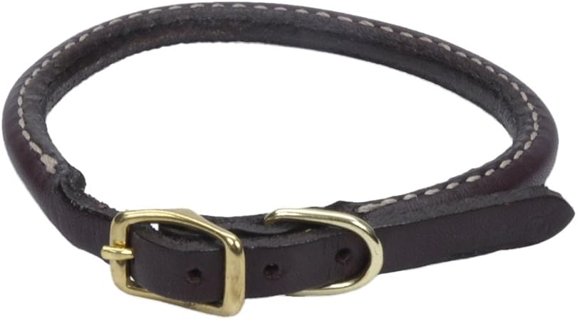circle t leather dog collars