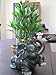 Jumbo Size Elephant Ceramic Vase with 3 Tier 4