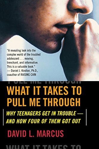 What It Takes To Pull Me Through: Why Teenagers Get in Trouble and How Four of Them Got Out