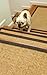 Natural Area Rugs Wheat Montreal DIY Pet Friendly Sisal Carpet Stair Treads/Rugs 9