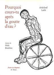 Pourquoi cours-tu après la goutte d'eau ?