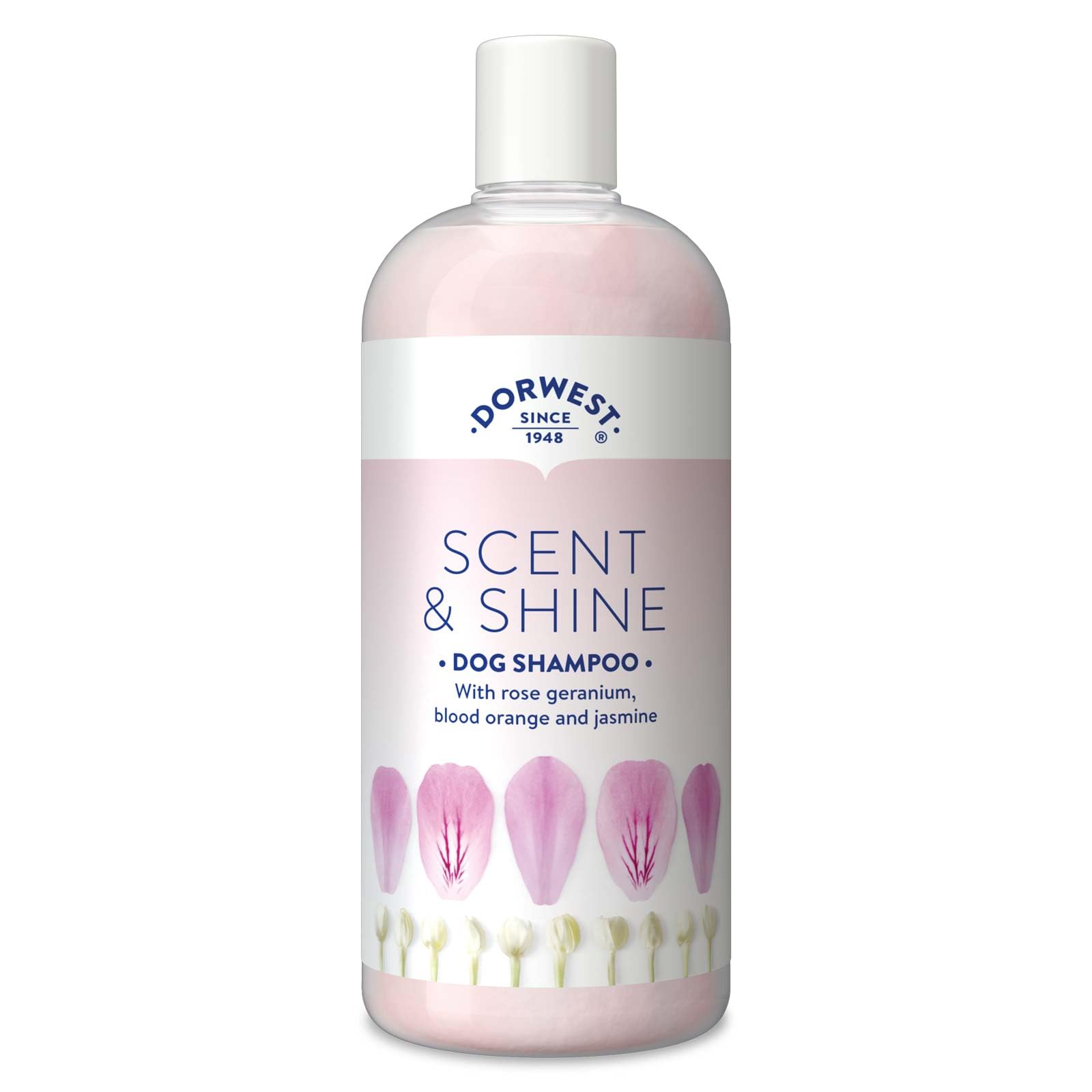 Dorwest Scent & Shine Dog Shampoo 500ml, All-Natural Pet Shampoo ­– Hydrating, Soothing & Moisturising Formula with Aloe Vera & Jasmine