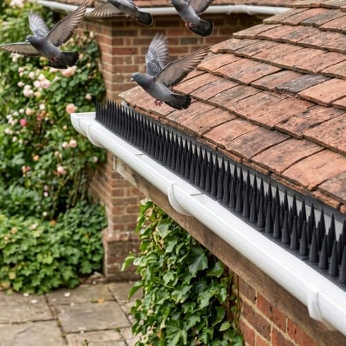 KOKMEYA Anti-Pigeon Spikes Plastic (2 m, 6 Pieces, Transparent) – Bird Repellent for Balcony, Gutter & Guardrail – Against Pigeons, Seagulls & Cats – Resistant