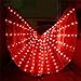 LED Isis Wings Glow Light Up Belly Dance Costumes with Sticks Performance Clothing Carnival Halloween (Red Plus)