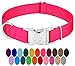 Premium Nylon Dog Collar with Metal Buckle for Small Medium Large Breeds (Large, 1 Inch, Hot Pink)