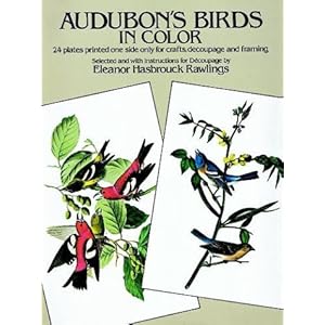 Audubon's Birds in Color for Decoupage