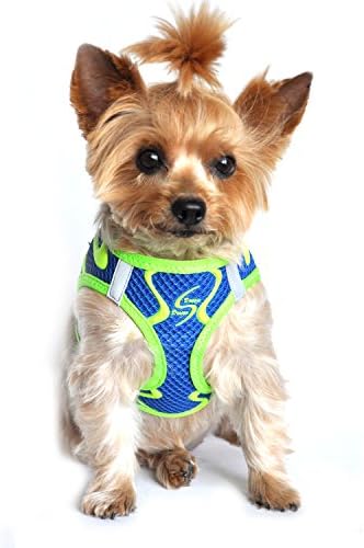 American River Neon Sport Dog Harnesses
