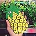 TopSZ Pineapple Case for iPhone XR 6.1