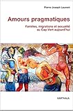 Amours pragmatiques : Familles, migrations et sexualité au Cap-Vert aujourd'hui by 