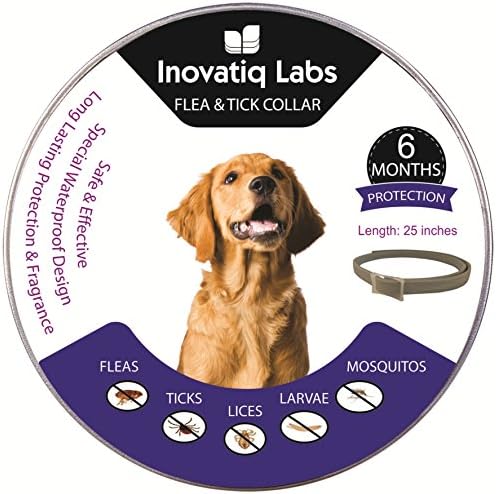 Flea and Tick Control Collar for Dogs &amp; Cats by Inovatiq Labs – Ultra-Effective, Safe &amp; Easy to Use Flea Collar for Pets – Lasts up to 6 Months – Suitable for Small, Medium &amp; Large Size Dogs &amp; Cats