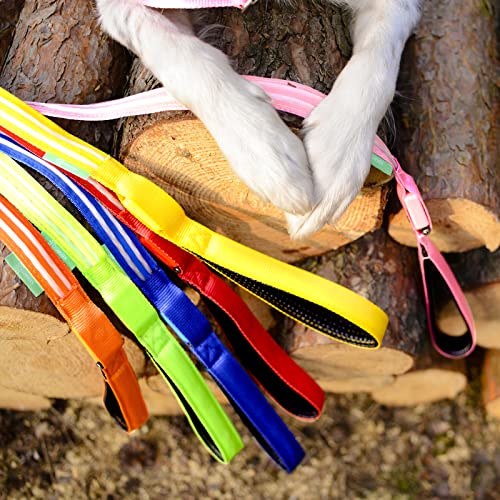Illumiseen LED Light Up Dog Leash Ultra High Visibility Up to 350