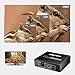 SOWTECH 1X2 HDMI Splitter Version 1.4 Full HD 1080P Powered HDMI Splitter 1 in 2 Out Support 3D for Duplicated/Mirror Dual Monitor
