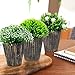The Bloom Times Fake Plant for Bathroom/Home Decor, Small Artificial Faux Greenery for House Decorations (Potted Plants) Set of 3Pcs
