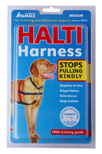 The company of animals halti harness - black & red …