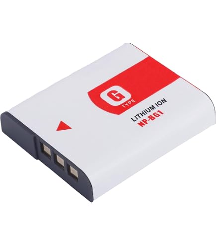 Amazon.com : Rechargeable Li-ion Battery (2-Pack) for Sony