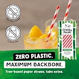 The Cheeky Panda Bamboo Paper Straws | 250 Coloured Straws Red Stripes view 2