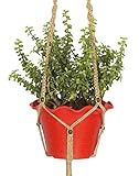 Jute Macrame Plant Hanger, 4 Legs 48 inch Length, #1 Best Recommended For Indoors, Outdoors, Round & Square Pots, Unique Design, Hand Knotted, Retro Feeling & Unmatched Finesse.