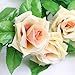 OOOUSE 8.2ft Artificial Silk Rose Flower Ivy Vine Leaf Garland Wedding Party Home Decor,Champagne