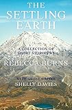 The Settling Earth by Rebecca Burns