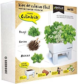 Huerto Urbano - Seed Box Culinarias - Batlle: Amazon.es: Jardín