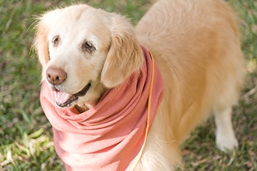 YogaRat Mugzy's Mutt Towel: Awesome 100% Microfiber pet towel attracts but won't trap fur - 28" x 50"