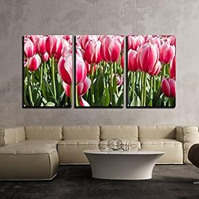 3 Piece Canvas Wall Art - Bright Colored Tulips on a Meadow in Spring - Modern Home Art Stretched and Framed Ready to Hang - 16"x24"x3 Panels