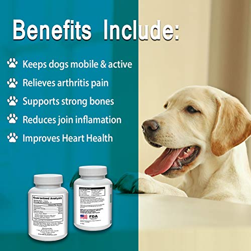 BestLife4Pets Dog Glucosamine Chondroitin and Turmeric Joint Pain Relief Supplement (60 Chews)