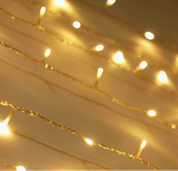 AtneP 16 LED Rice String Lights Warm for Decorative Purposes (White) -Set of 2