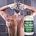 Antifungal Tea Tree Oil Body Wash - Antibacterial Wash Helps Eliminate Body Odor, Athlete's Foot, Acne, Toenail Fungus & Jock Itch Soothes Body Itch, Eczema & Skin Irritations-Premium Anti-fungal Soap