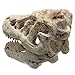 Resin Aquarium Fish Tank Landscape Simulation Dinosaur Head Bone Skull Decoration Ornament Accessories