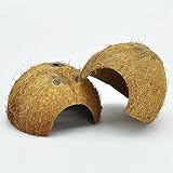 Niteangel 2 Pack Natural Coconut Reptile Hideouts, Lizard, Spider and Aquarium Fish Hide Cave (Natural Surface)