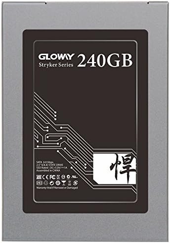 Gloway STK 3D NAND SATA III SSD- 2.5-inch Internal Solid State Drive Work with Notebook and Desktop（240GB）