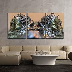 3 Piece Canvas Wall Art - Frontal View of a Spectacled Caiman - Caiman Crocodilus - Modern Home Art Stretched and Framed Ready to Hang - 16"x24"x3 Panels