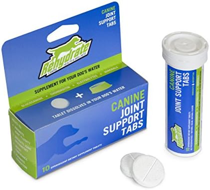 Rehydrate Dog Hip Joint Support Sugar Free Effervescent Glucosamine Chondroitin Tablets
