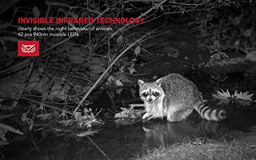 Usogood Trail Camera with 32GB SD Card 1080P Game Camera with Night Vision Motion Activated Waterproof 2.4" LCD Screen for Outdoor Wildlife Monitoring, Garden, Home Security Surveillance