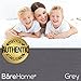 Bare Home Extra Long Flat Sheet - Premium 1800 Ultra-Soft Top Sheet - Hotel Luxury - Double Brushed - Easy Care - 2 Extra Long Flat Sheets Only (Twin/Twin XL - 2 Pack, Grey)