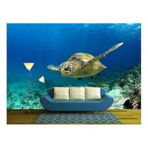 Green Sea Turtle Swimming Underwater