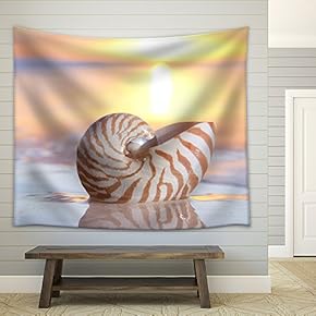 Nautilus Shell in The Sea, Sunrise. Shallow Dof - Fabric Wall Tapestry Home Decor - 51x60 inches