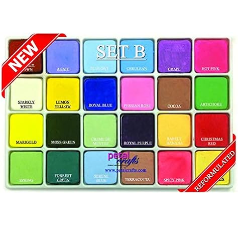 Amazon Com Petal Crafts Dust Coloring Set 24 Pack Home Kitchen