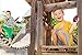 Walkie Talkies For Kids Spiderman Far From Home Kids Walkie Talkies FRS Range Lights & Sound Kid Friendly Easy To Use For Indoor Outdoor Adventures (Frustration Free Packaging)