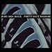 Pretty Hate Machine: 2010 Remaster [2 LP] primary