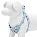 Blueberry Pet Soft & Comfy Made Well Cute Floral No Pull Mesh Dog Harness Vest in Light Blue, Chest Girth 17.5
