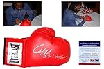 Charles Tillman Autographed / Signed Everlast Boxing Gloves - Chicago Bears RS - PSA