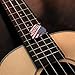 President Trump American Flag Novelty Guitar Picks Medium Gauge - Set of 6