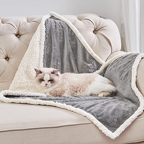 Qeils Waterproof Pet Blanket