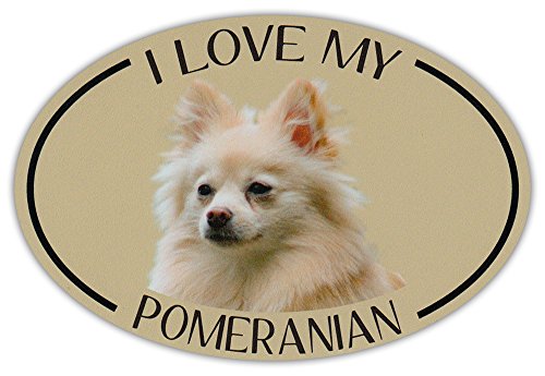 Oval Dog Breed Picture Car Magnet - I Love My Pomeranian - Magnetic Bumper Sticker